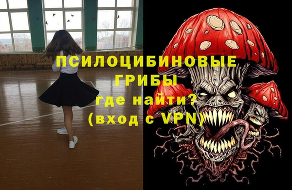 дурь Богородск