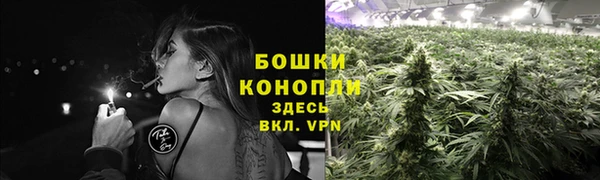 марки lsd Богданович