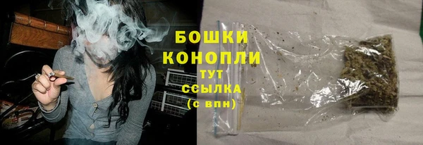 дурь Богородск