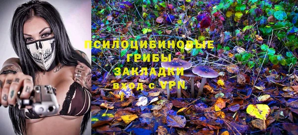 дурь Богородск