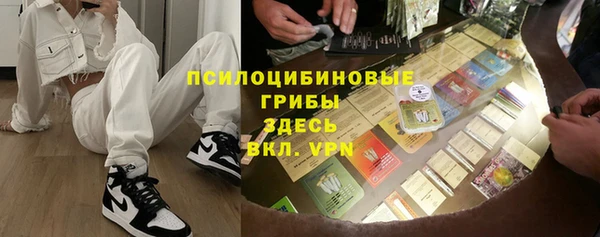СК Богородицк