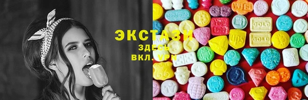 СК Богородицк